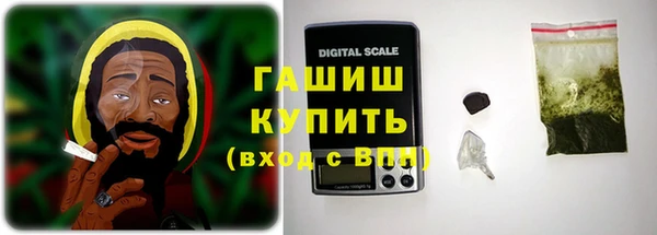 apvp Алзамай