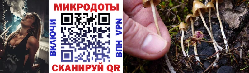 наркошоп  Бахчисарай  Галлюциногенные грибы Psilocybe 